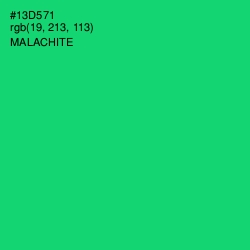 #13D571 - Malachite Color Image