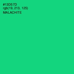 #13D57D - Malachite Color Image