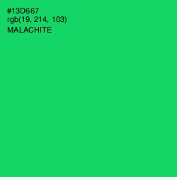 #13D667 - Malachite Color Image