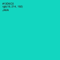 #13D6C0 - Java Color Image