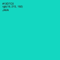 #13D7C0 - Java Color Image