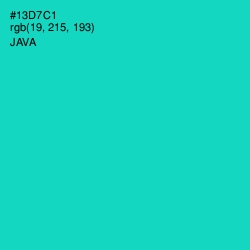 #13D7C1 - Java Color Image