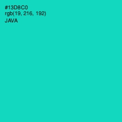 #13D8C0 - Java Color Image