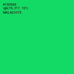 #13D965 - Malachite Color Image