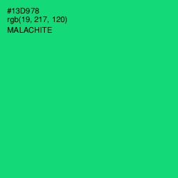 #13D978 - Malachite Color Image