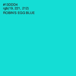 #13DDD4 - Robin's Egg Blue Color Image