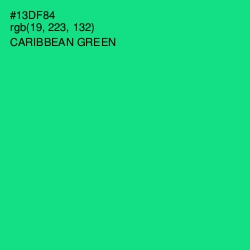 #13DF84 - Caribbean Green Color Image