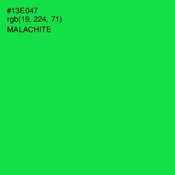 #13E047 - Malachite Color Image