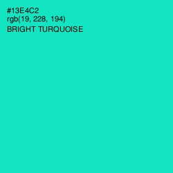 #13E4C2 - Bright Turquoise Color Image