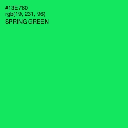 #13E760 - Spring Green Color Image