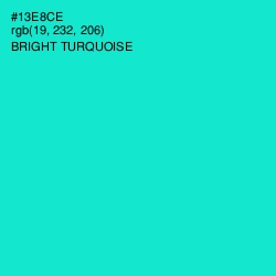 #13E8CE - Bright Turquoise Color Image