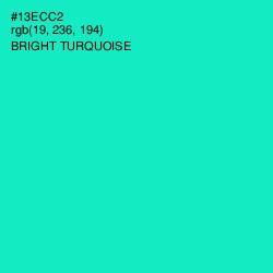 #13ECC2 - Bright Turquoise Color Image