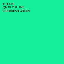 #13EE9B - Caribbean Green Color Image