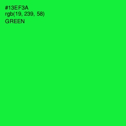 #13EF3A - Green Color Image