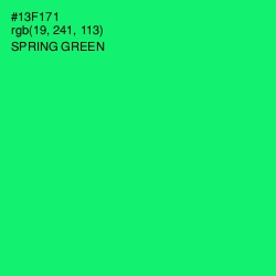 #13F171 - Spring Green Color Image