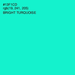 #13F1CD - Bright Turquoise Color Image