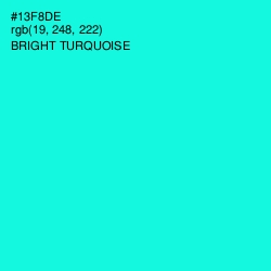 #13F8DE - Bright Turquoise Color Image