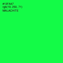 #13FA47 - Malachite Color Image