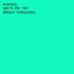 #13FAC0 - Bright Turquoise Color Image