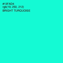 #13FAD4 - Bright Turquoise Color Image