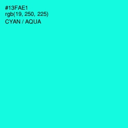 #13FAE1 - Cyan / Aqua Color Image