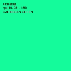 #13FB9B - Caribbean Green Color Image