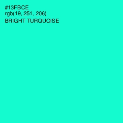 #13FBCE - Bright Turquoise Color Image