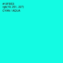 #13FBE3 - Cyan / Aqua Color Image