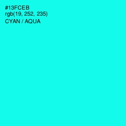 #13FCEB - Cyan / Aqua Color Image