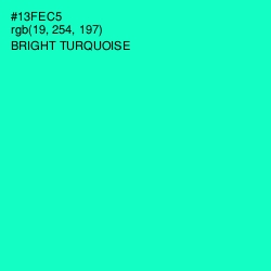 #13FEC5 - Bright Turquoise Color Image