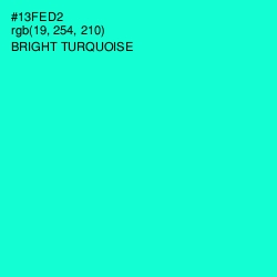 #13FED2 - Bright Turquoise Color Image