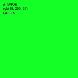 #13FF25 - Green Color Image