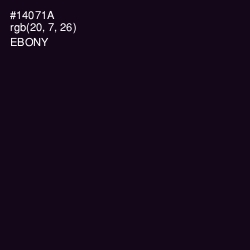 #14071A - Ebony Color Image