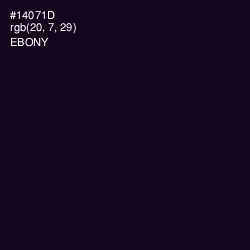#14071D - Ebony Color Image