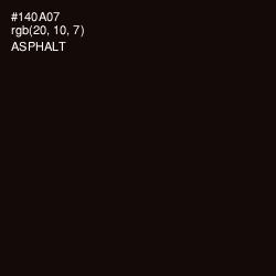 #140A07 - Asphalt Color Image