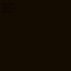 #140B01 - Asphalt Color Image