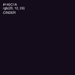 #140C1A - Cinder Color Image