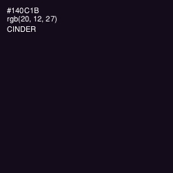 #140C1B - Cinder Color Image