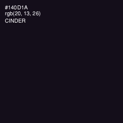 #140D1A - Cinder Color Image