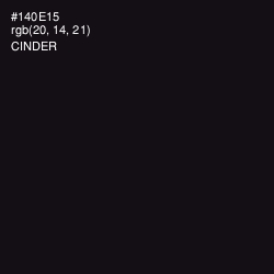 #140E15 - Cinder Color Image