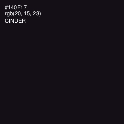 #140F17 - Cinder Color Image