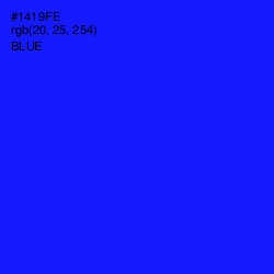 #1419FE - Blue Color Image