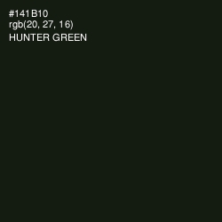 #141B10 - Hunter Green Color Image