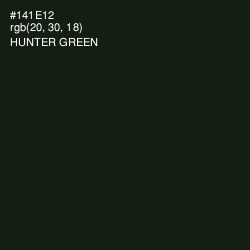 #141E12 - Hunter Green Color Image