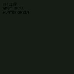 #141E15 - Hunter Green Color Image