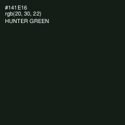 #141E16 - Hunter Green Color Image