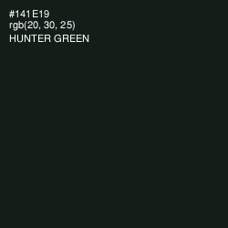 #141E19 - Hunter Green Color Image