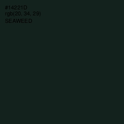 #14221D - Seaweed Color Image