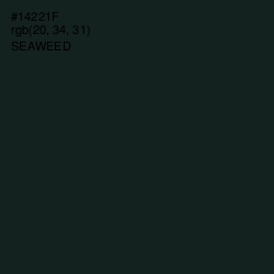 #14221F - Seaweed Color Image