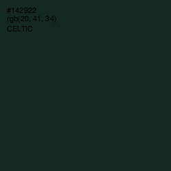 #142922 - Celtic Color Image